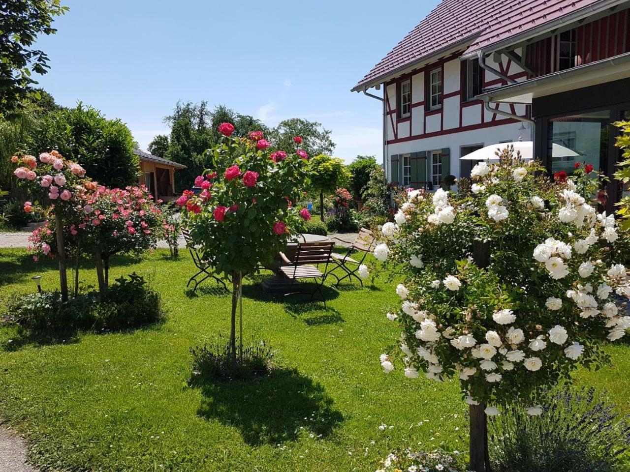 Hotel Landgut Apfelrose FDH Exterior foto